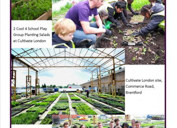 Cultivate London Photo Montage.jpg